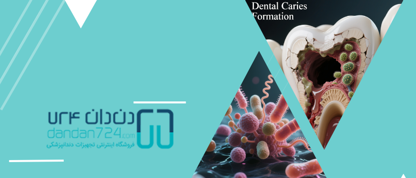 نقش باکتری ها - باکتری های دهان