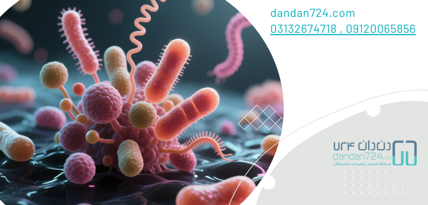 باکتری - باکتری های دهان